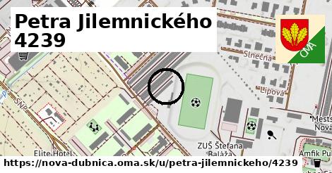 Petra Jilemnického 4239, Nová Dubnica