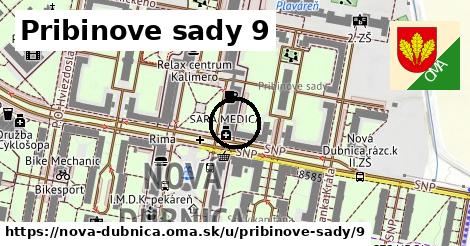 Pribinove sady 9, Nová Dubnica