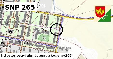 SNP 265, Nová Dubnica