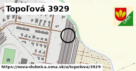 Topoľová 3929, Nová Dubnica
