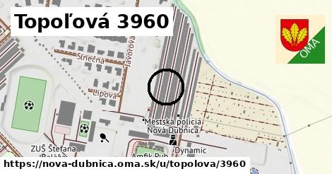 Topoľová 3960, Nová Dubnica