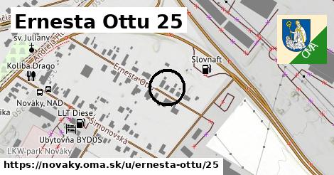 Ernesta Ottu 25, Nováky