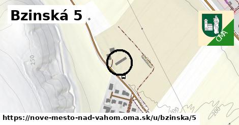 Bzinská 5, Nové Mesto nad Váhom