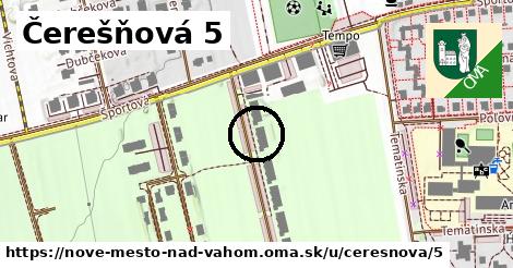 Čerešňová 5, Nové Mesto nad Váhom