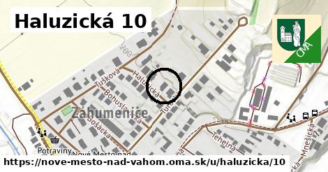 Haluzická 10, Nové Mesto nad Váhom