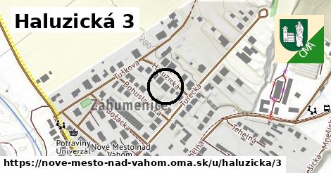 Haluzická 3, Nové Mesto nad Váhom