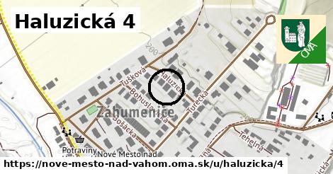 Haluzická 4, Nové Mesto nad Váhom