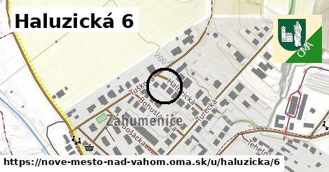 Haluzická 6, Nové Mesto nad Váhom