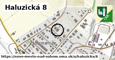 Haluzická 8, Nové Mesto nad Váhom