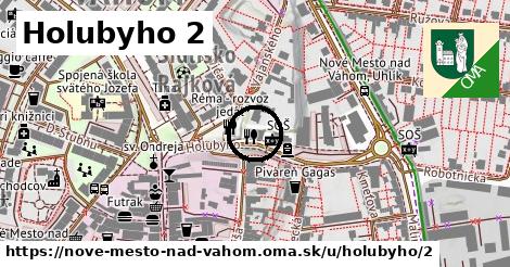 Holubyho 2, Nové Mesto nad Váhom