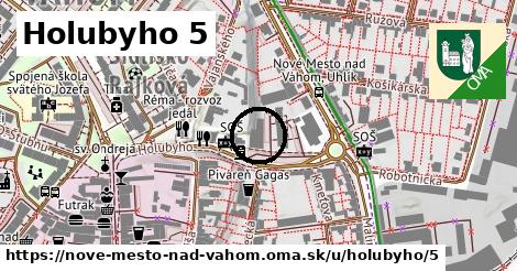 Holubyho 5, Nové Mesto nad Váhom