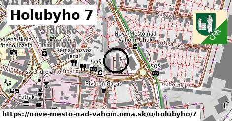 Holubyho 7, Nové Mesto nad Váhom