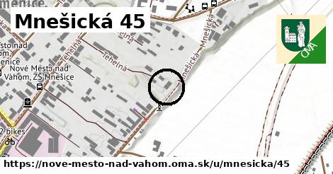 Mnešická 45, Nové Mesto nad Váhom