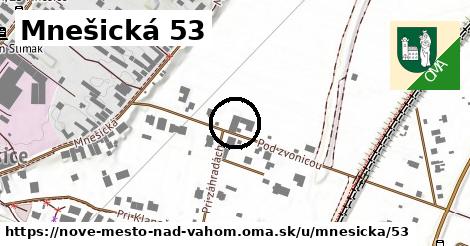 Mnešická 53, Nové Mesto nad Váhom