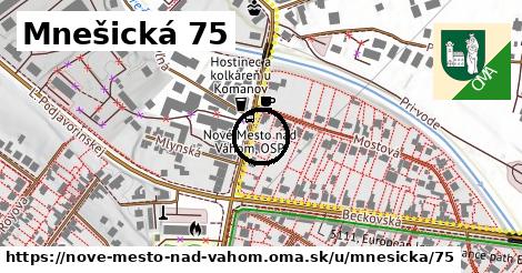 Mnešická 75, Nové Mesto nad Váhom