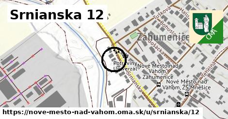 Srnianska 12, Nové Mesto nad Váhom