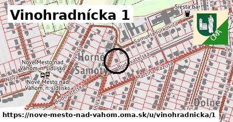 Vinohradnícka 1, Nové Mesto nad Váhom