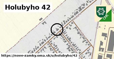 Holubyho 42, Nové Zámky