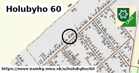Holubyho 60, Nové Zámky