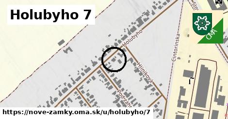 Holubyho 7, Nové Zámky
