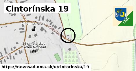 Cintorínska 19, Novosad