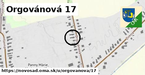 Orgovánová 17, Novosad