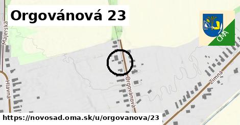 Orgovánová 23, Novosad