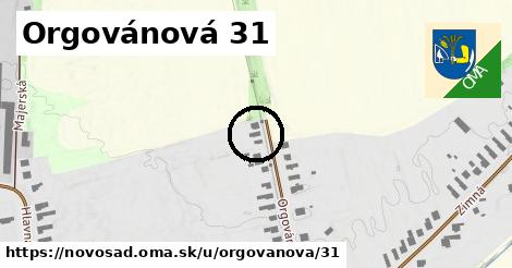 Orgovánová 31, Novosad