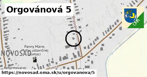 Orgovánová 5, Novosad