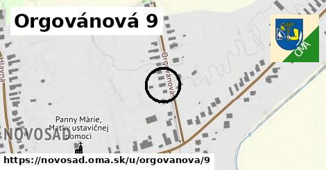 Orgovánová 9, Novosad