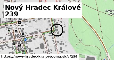 Nový Hradec Králové <span class="supisne">239</span>