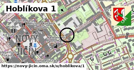 Hoblíkova 1, Nový Jičín