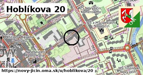 Hoblíkova 20, Nový Jičín