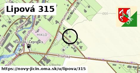 Lipová 315, Nový Jičín