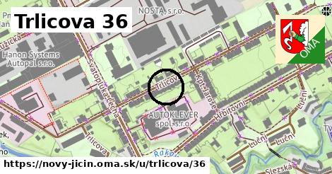 Trlicova 36, Nový Jičín
