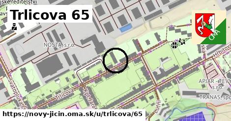 Trlicova 65, Nový Jičín