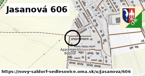 Jasanová 606, Nový Šaldorf-Sedlešovice