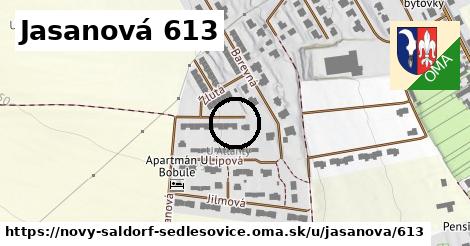 Jasanová 613, Nový Šaldorf-Sedlešovice
