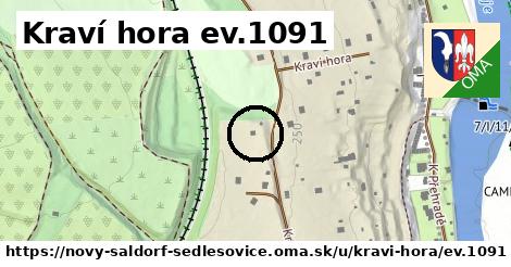 Kraví hora ev.1091, Nový Šaldorf-Sedlešovice
