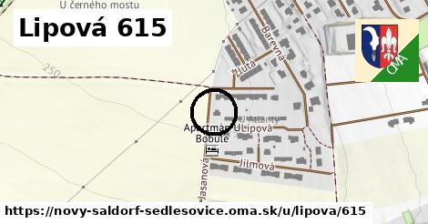 Lipová 615, Nový Šaldorf-Sedlešovice