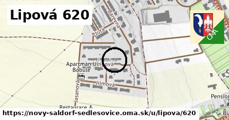 Lipová 620, Nový Šaldorf-Sedlešovice