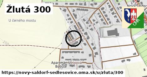 Žlutá 300, Nový Šaldorf-Sedlešovice