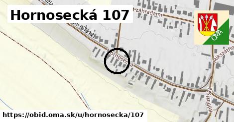 Hornosecká 107, Obid