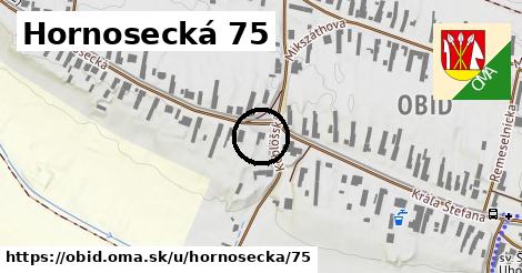 Hornosecká 75, Obid