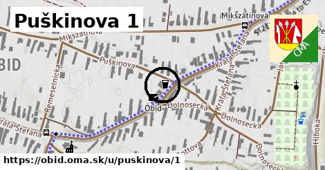 Puškinova 1, Obid