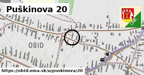 Puškinova 20, Obid