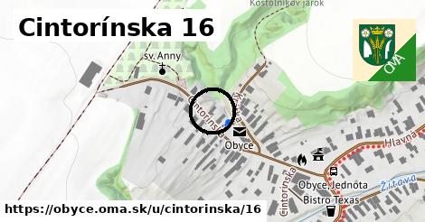 Cintorínska 16, Obyce