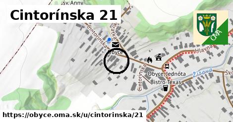 Cintorínska 21, Obyce