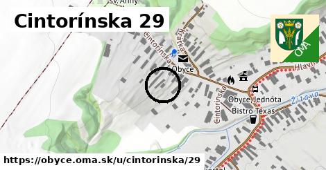 Cintorínska 29, Obyce