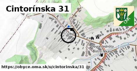 Cintorínska 31, Obyce